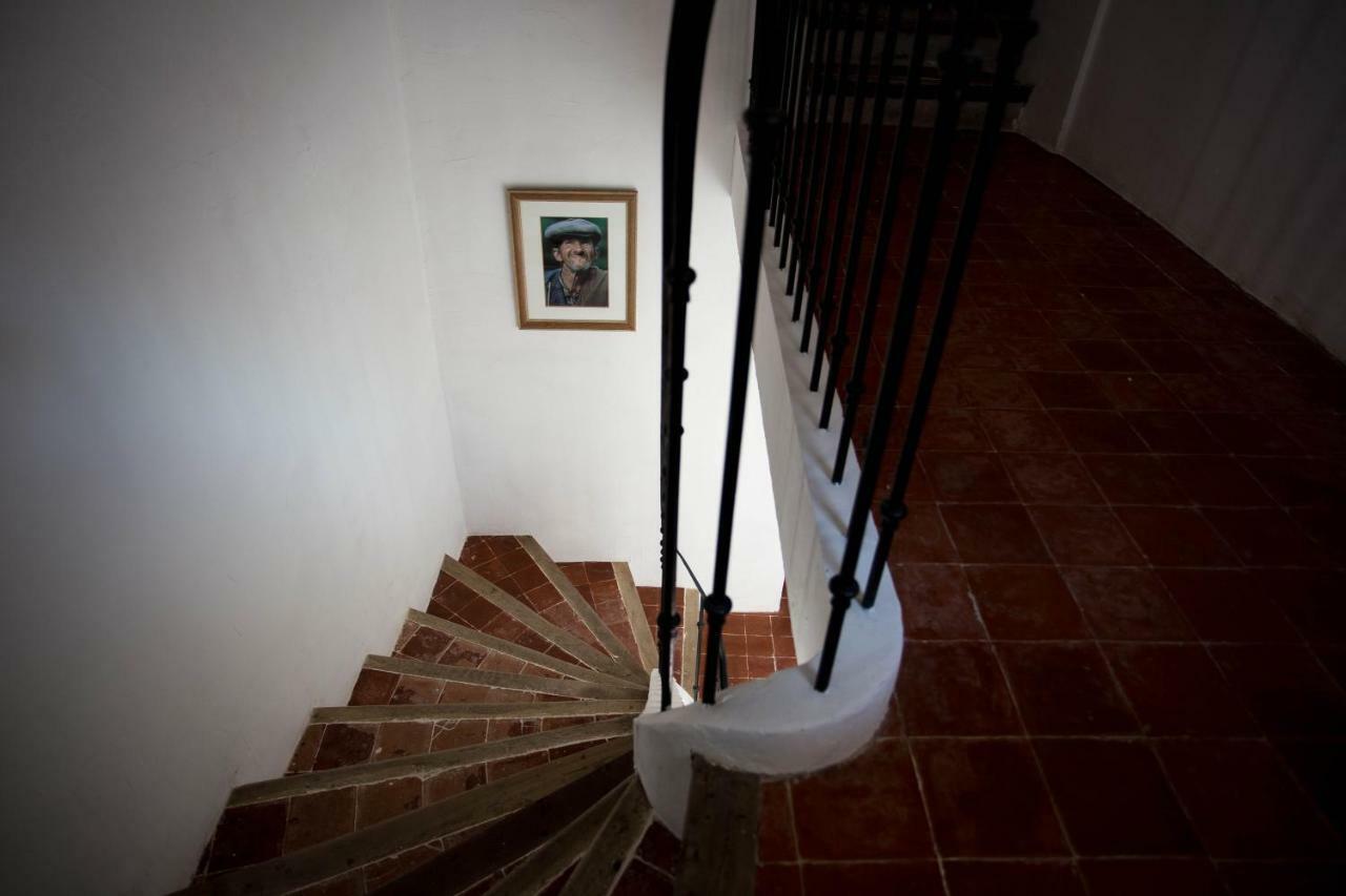 Maison D'Hotes Ventoureso Malemort-du-Comtat Экстерьер фото
